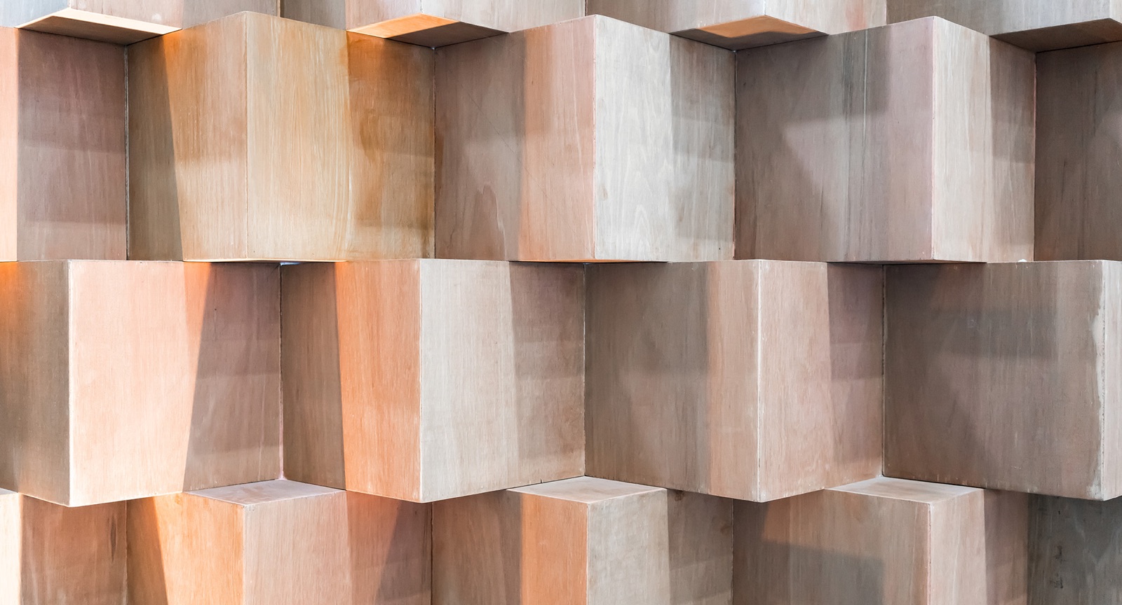 Zukunft Holz